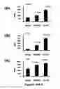 Fig. 23 - Methods of Diagnosing and Treating Multiple Sclerosis