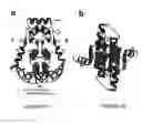Fig. 02 - SMALL MOLECULE MODULATORS OF EPIGENETIC REGULATION AND THEIR THERAPEUTIC APPLICATIONS