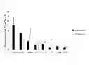 Fig. 02 - OSTEOGENESIS PROMOTER AND USE THEREOF
