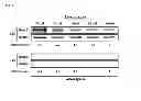 Fig. 06 - OSTEOGENESIS PROMOTER AND USE THEREOF