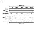 Fig. 07 - OSTEOGENESIS PROMOTER AND USE THEREOF