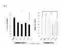 Fig. 09 - OSTEOGENESIS PROMOTER AND USE THEREOF
