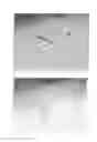 Fig. 02 - Ropinirole-containing adhesive patch
