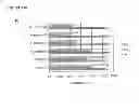 Fig. 24 - Method for reducing expression of downregulated in renal cell carcinoma in malignant gliomas