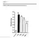 Fig. 12 - Phytocannabinoids for use in the treatment of intestinal inflammatory diseases