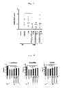 Fig. 04 - PROPHYLACTIC OR THERAPEUTIC AGENT FOR IDIOPATHIC INFLAMMATORY MYOPATHIES