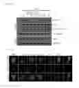 Fig. 02 - Phytosphingosine derivatives, and composition comprising same for preventing and treating inflammatory skin diseases, autoimmune diseases, and hyperkeratosis diseases