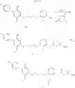 Fig. 06 - Leukotriene Bantagonist compound