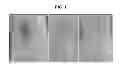 Fig. 02 - FORMULATION OF SMALL ADRENERGIC AGONIST SALT FORMS IN ORGANIC SOLVENTS