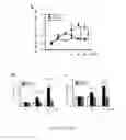 Fig. 02 - Use of citral for treating focal segmental glomerulosclerosis