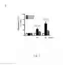 Fig. 06 - Use of citral for treating focal segmental glomerulosclerosis
