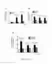 Fig. 07 - Use of citral for treating focal segmental glomerulosclerosis