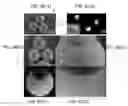 Fig. 16 - Lock and key colloids and methods of manufacture