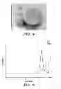 Fig. 06 - Thermoplastic elastomers via reversible addition-fragmentation chain transfer polymerization of triglycerides