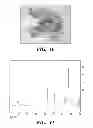 Fig. 07 - Thermoplastic elastomers via reversible addition-fragmentation chain transfer polymerization of triglycerides