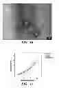 Fig. 10 - Thermoplastic elastomers via reversible addition-fragmentation chain transfer polymerization of triglycerides