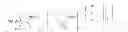 Fig. 49 - POLY(LACTONE)S, METHOD OF MANUFACTURE, AND USES THEREOF