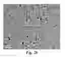 Fig. 03 - Silicone based nanocomposites including inorganic nanoparticles and their methods of manufacture and use