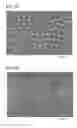 Fig. 07 - Aluminum-Polymer Resin Composite And Method For Producing The Same