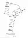 Fig. 09 - METHODS FOR PURIFYING STEVIOL GLYCOSIDES AND USES OF THE SAME