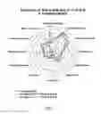 Fig. 32 - METHODS FOR PURIFYING STEVIOL GLYCOSIDES AND USES OF THE SAME