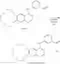Fig. 44 - Methods of preparing icotinib and icotinib hydrochloride, and intermediates thereof