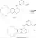 Fig. 46 - Methods of preparing icotinib and icotinib hydrochloride, and intermediates thereof