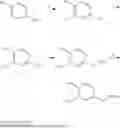Fig. 65 - Modulators of ATP-binding cassette transporters