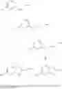 Fig. 74 - Modulators of ATP-binding cassette transporters