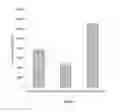 Fig. 02 - SYNTHETIC MATRIX FOR CONTROLLED CELL INGROWTH AND TISSUE REGENERATION