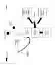 Fig. 02 - Coordinating emergency treatment of cardiac dysfunction and non-cardiac neural dysfunction