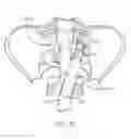 Fig. 32 - Sacrocolpopexy support