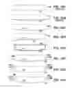 Fig. 30 - METHOD AND APPARATUS FOR PROVIDING DERVIED GLUCOSE INFORMATION UTILIZING PHYSIOLOGICAL AND/OR CONTEXTUAL PARAMETERS
