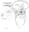 Fig. 02 - Object, method, and system for detecting heartbeat or whether or not electrodes are in proper contact