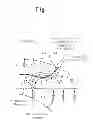 Fig. 02 - Biomagnetic resonance device and measuring method therefor