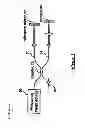Fig. 02 - Angular image manipulation