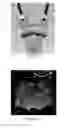 Fig. 04 - Ultrasound imaging console