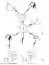 Fig. 02 - TWO-ELECTRODE, IMPEDANCE-BASED RESPIRATION DETERMINATION
