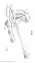 Fig. 02 - Endoscopic instrument for tissue identification