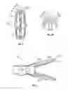 Fig. 05 - Endoscopic instrument for tissue identification