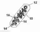 Fig. 01 - Pseudobezoar-Based Intraluminal Gastrointestinal Cleansing and Biospy