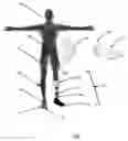 Fig. 01 - MOBILE GAIT FORCE AND MOTION ANALYSIS SYSTEM