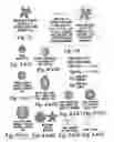 Fig. 08 - Advanced methods and systems for treating cell proliferation disorders