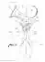 Fig. 07 - MANUAL PORTABLE BREAST PUMP