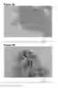 Fig. 06 - Macrolide particulates, methods for preparation, and medical devices associated therewith