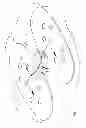 Fig. 13 - Medical anchoring system