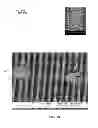 Fig. 16 - Transdermal delivery of high viscosity bioactive agents