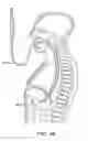 Fig. 49 - Electrosurgical cutting and sealing instruments with cam-actuated jaws