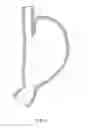 Fig. 03 - Methods and devices for manipulating and fastening tissue