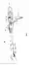 Fig. 02 - POWERED SURGICAL INSTRUMENT